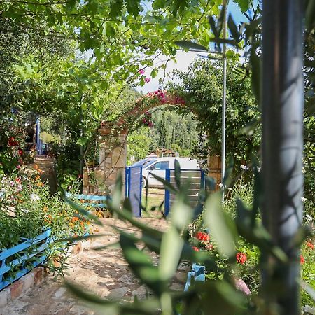 Мотель Holiwood Химара Экстерьер фото